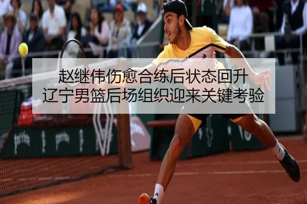 赵继伟伤愈合练后状态回升 辽宁男篮后场组织迎来关键考验 | www.jiuyou..comapp